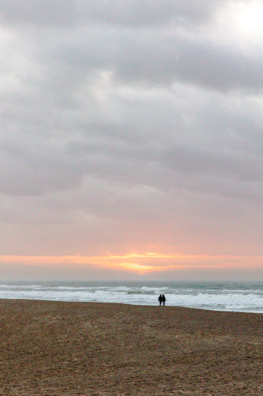 Texel (c) Ina Herzig